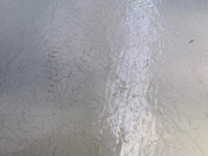 施工前のひび割れ