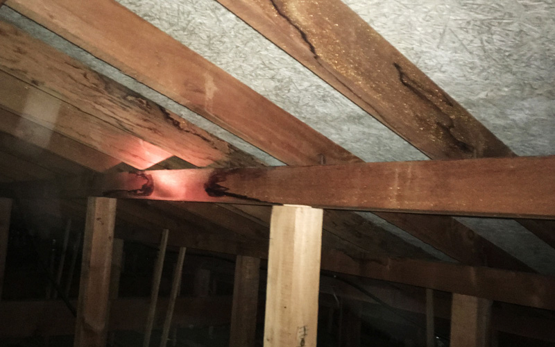 雨漏れイメージ